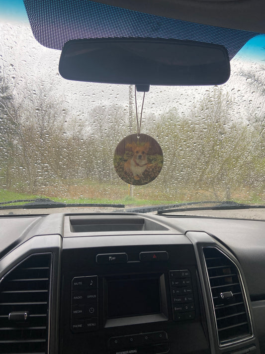 Custom air freshner